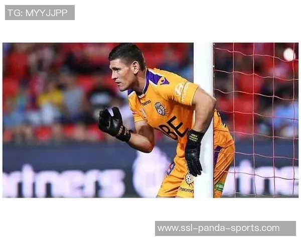 韦拉克鲁斯足球队的辉煌历史与未来展望分析