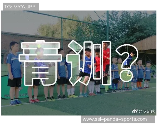 金寨足球崛起之路探索地方足球文化与青少年培养的新模式